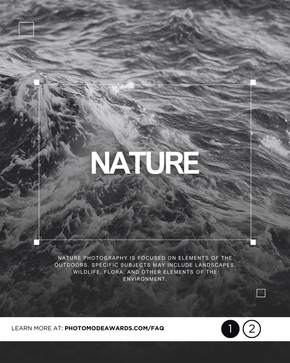 The Photo Mode Awards tweet media