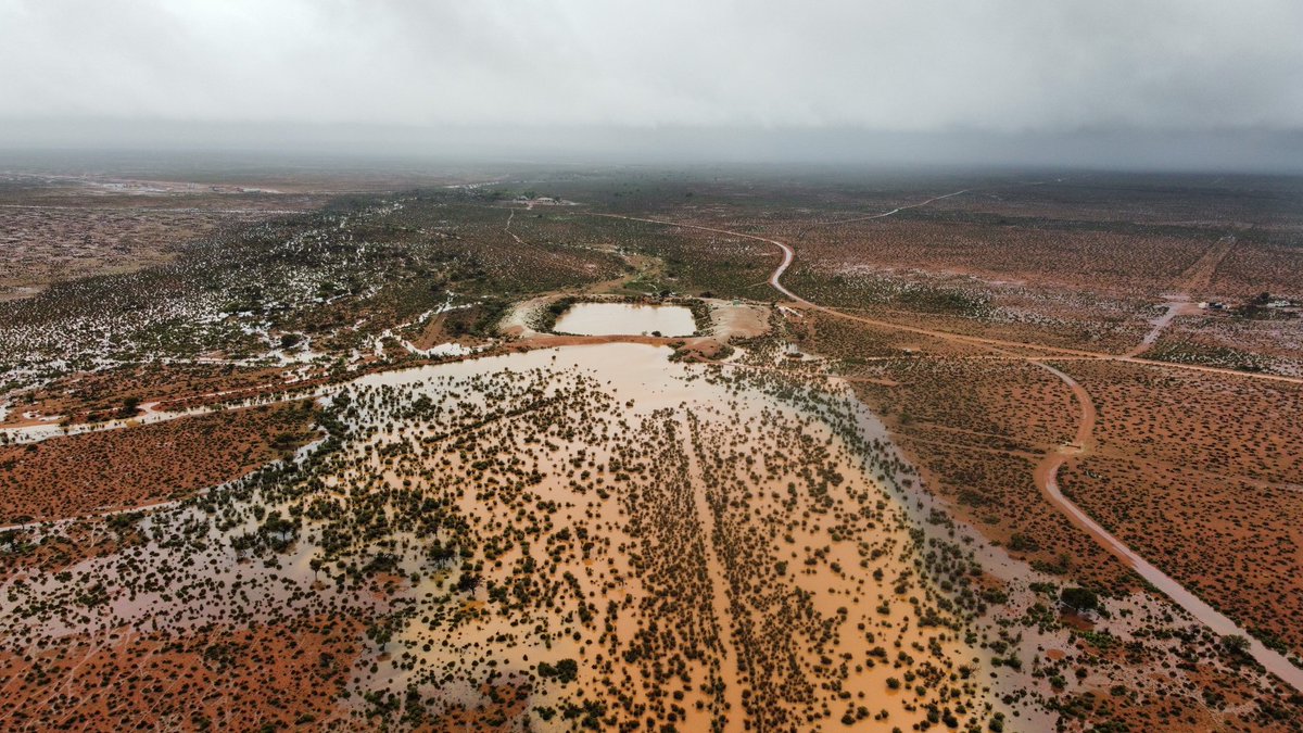 Scott Michael tweet media