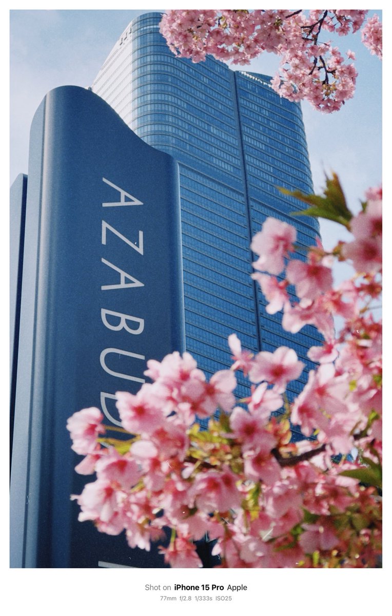 takahiro_vlog3's tweet image. 🇯🇵🌸Azabudai Hills x Kawazu Cherry Blossoms
#AzabudaiHills #CherryBlossoms
#SpringInTokyo #Sakura #Tokyotokyo