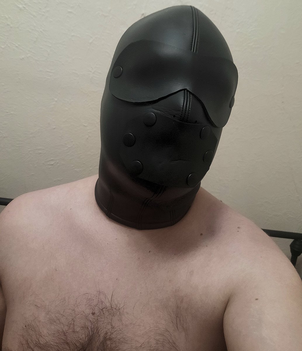 SubvertedPig's tweet photo. Got a new neoprene hood, I love feeling like a gimp. 
Not shown in pic: the giant sock stuffed in my mouth under the gag panel. 🐷 🐽 https://t.co/YImvqra90A