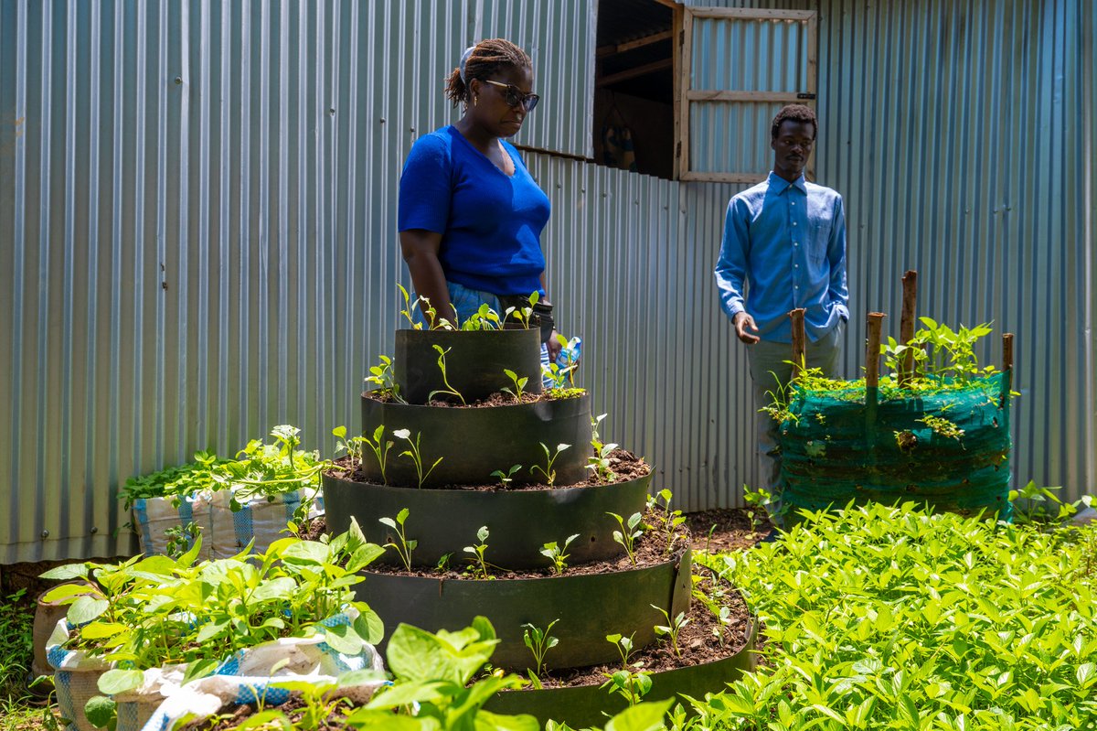 HEALTH and ECONOMIC DEVELOPMENT STRATEGY ORG tweet media