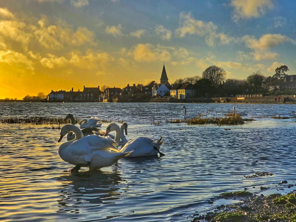 BBC Sussex tweet media