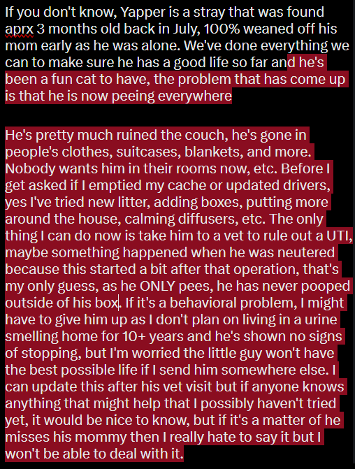 SophistEevee's tweet photo. Yo, 

I've got a very serious cat problem I need to ask some cat owners about https://t.co/yup5SRo4Vm