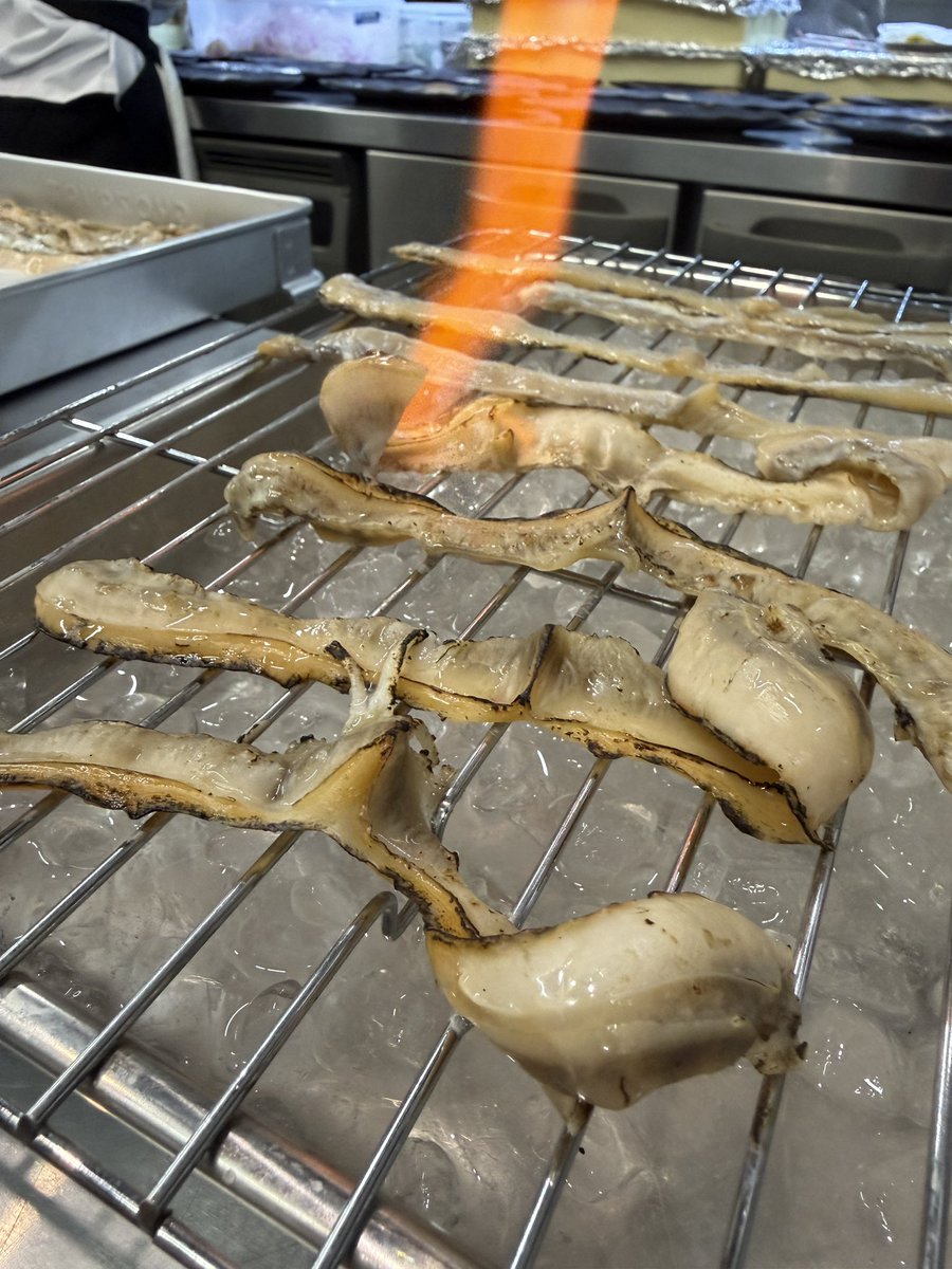 きまぐれクック@かねこ🔪🐡 tweet media