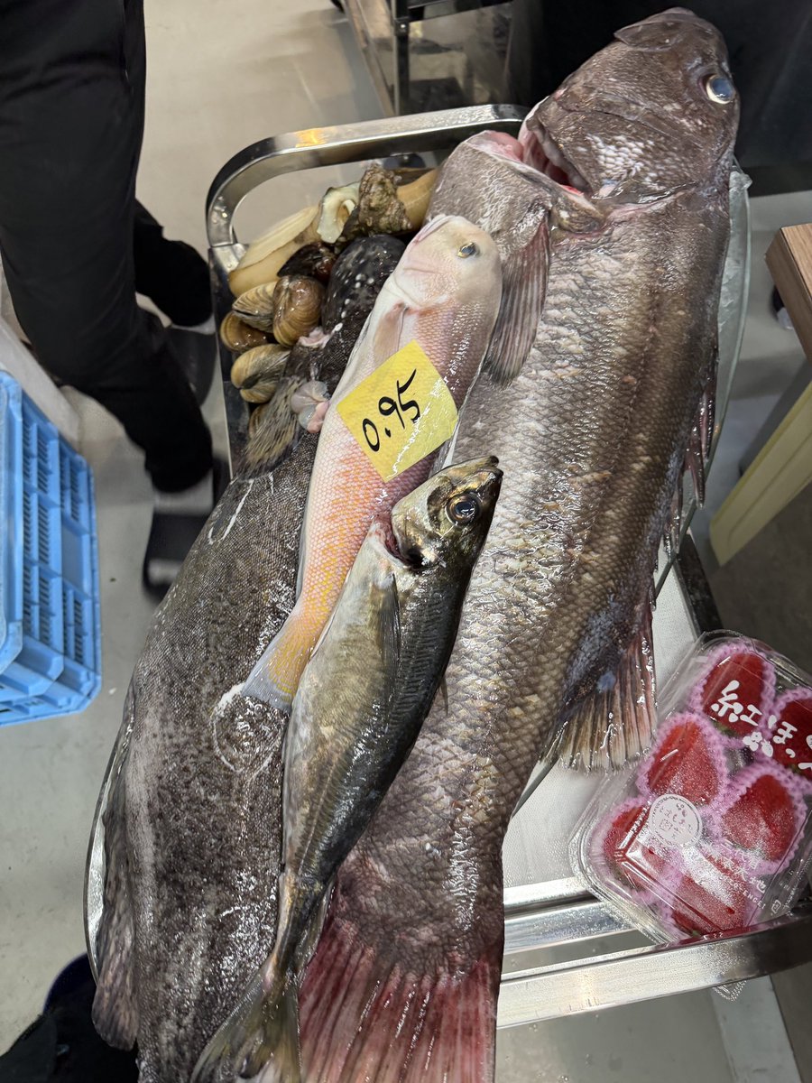 きまぐれクック@かねこ🔪🐡 tweet media