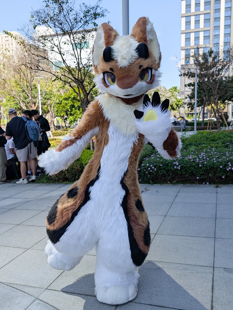 ねこまたぎ@火影喵忍 🔜HiFurry2026 tweet media