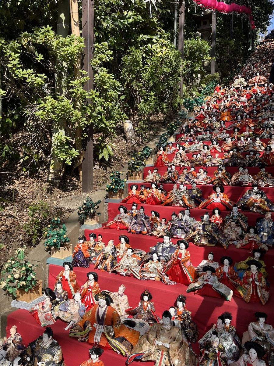 座間神社ひな祭り展🎎⛩️ ヤマトタケルさまが御祭神の神社なので