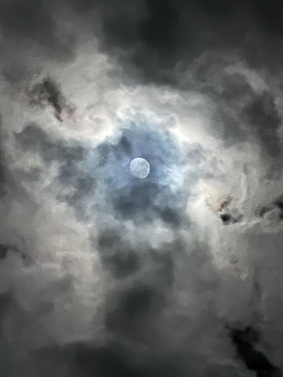 stevelarge tweet media