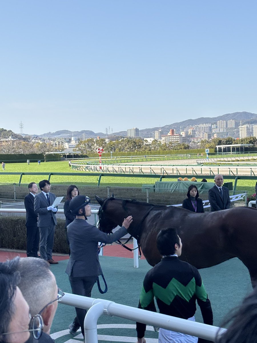 ryosuke_dbr's tweet photo. ベルウェザー勝利🏆

現地で観る事ができてよかった👍
騎乗も完璧でした🏇
出資者の皆さんおたおめです🎉
関係者の方々､ありがとうございます😊 https://t.co/gJl6uJ4JUB