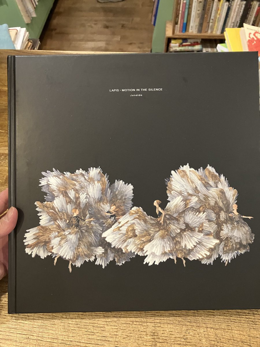 junaidaさんの特別な画集『LAPIS・MOTION IN THE SILENCE』(Hedgehog