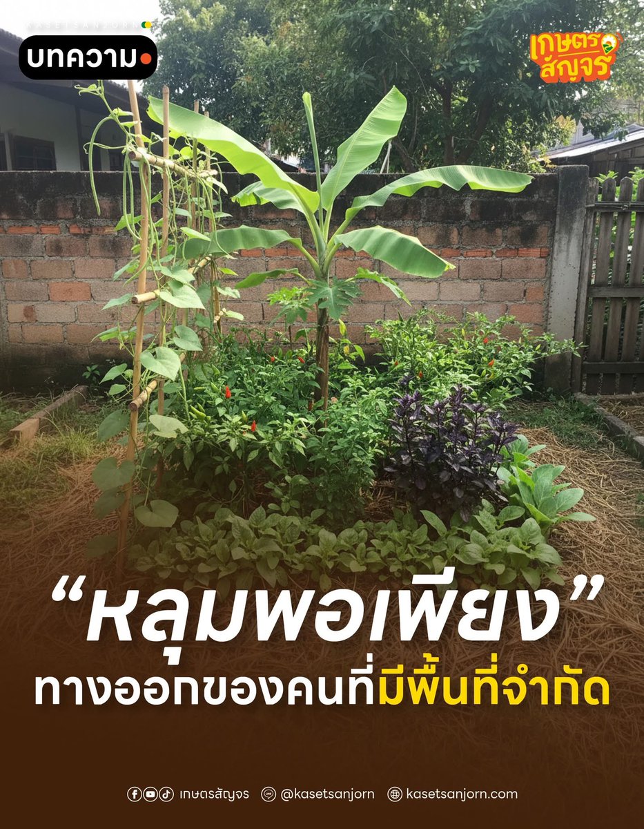 🇹🇭Ton Patiwat🇹🇭 tweet media