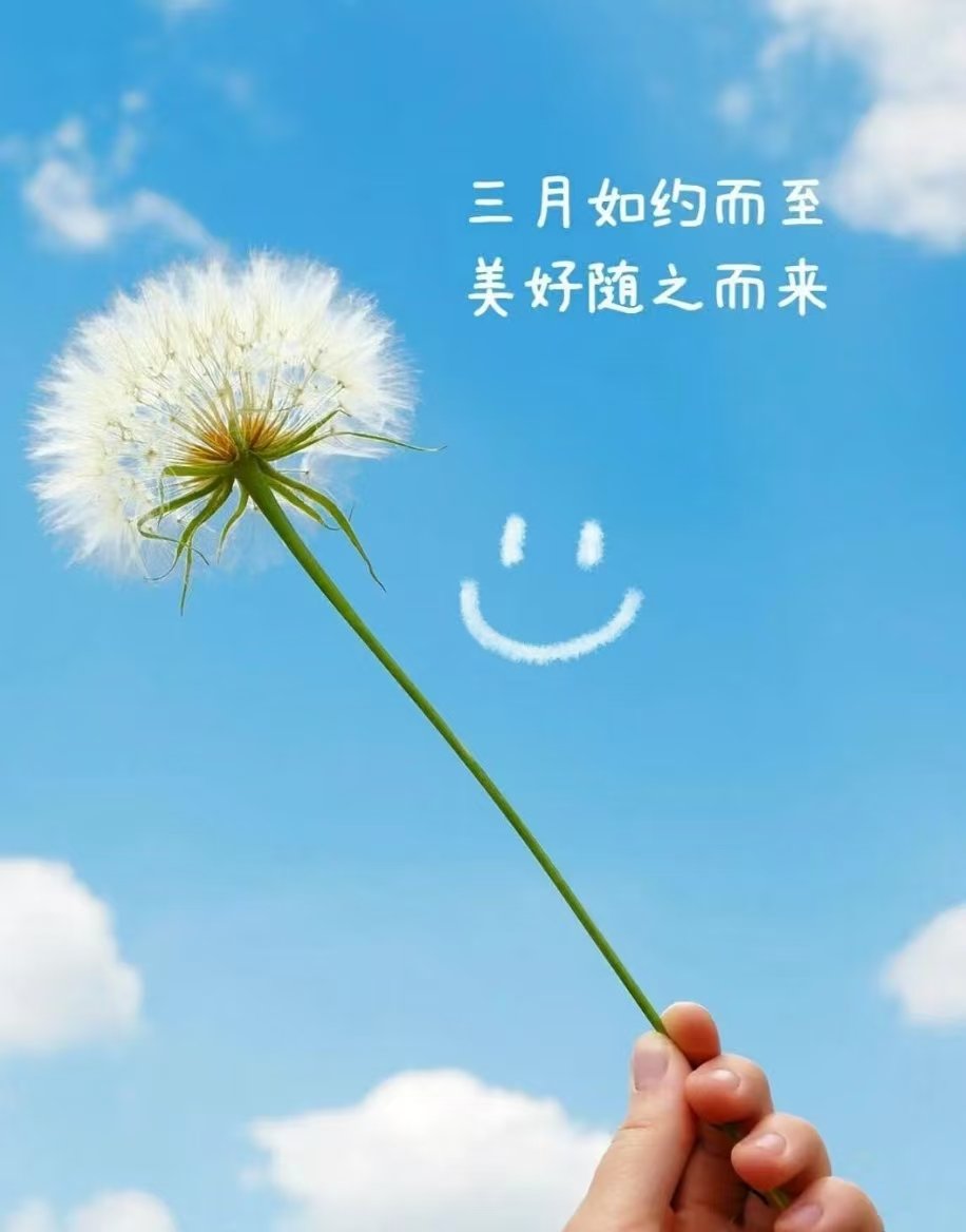 Julyyuzhi's tweet photo. 2026.03.01
希望3月的风吹来今年最大的惊喜。 https://t.co/LrVoH97fIy