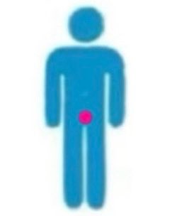 我特么这简直就是我家1和我家0