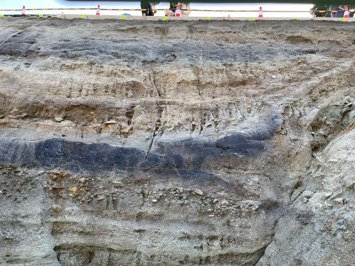 つじとも tweet media