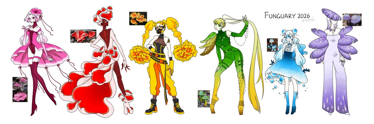 右左逆 tweet media