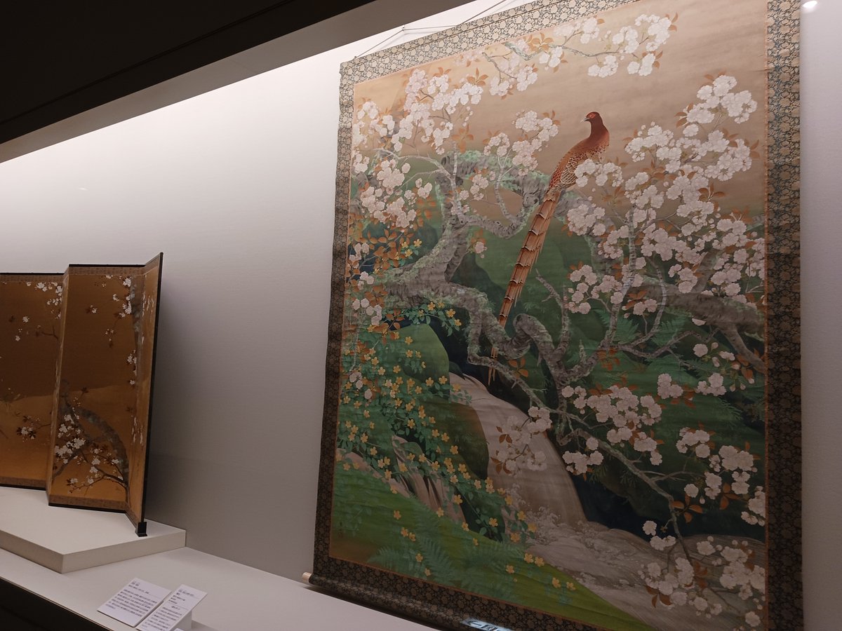 春のあしおと 」見どころ④ 🌸3月はおすすめの桜の作品をご紹介