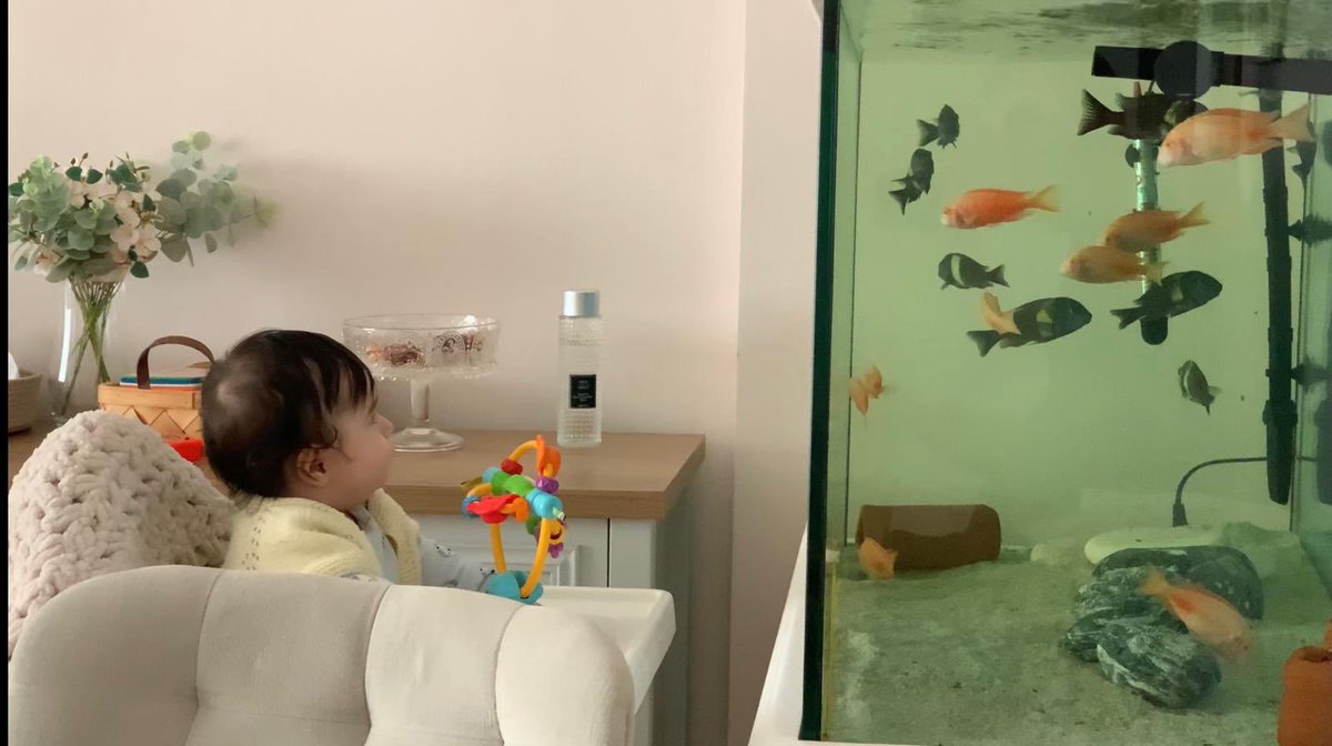 Akvaryum izlemek en büyük zevkimiz 🥰 
Ege’m 💙