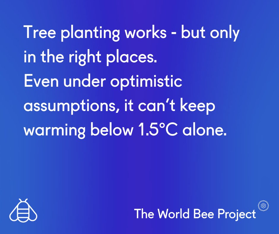 The World Bee Project CIC tweet media