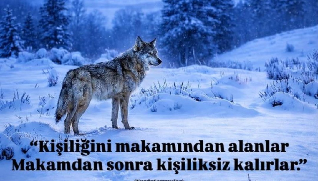 Yeni Güne Bismillah.