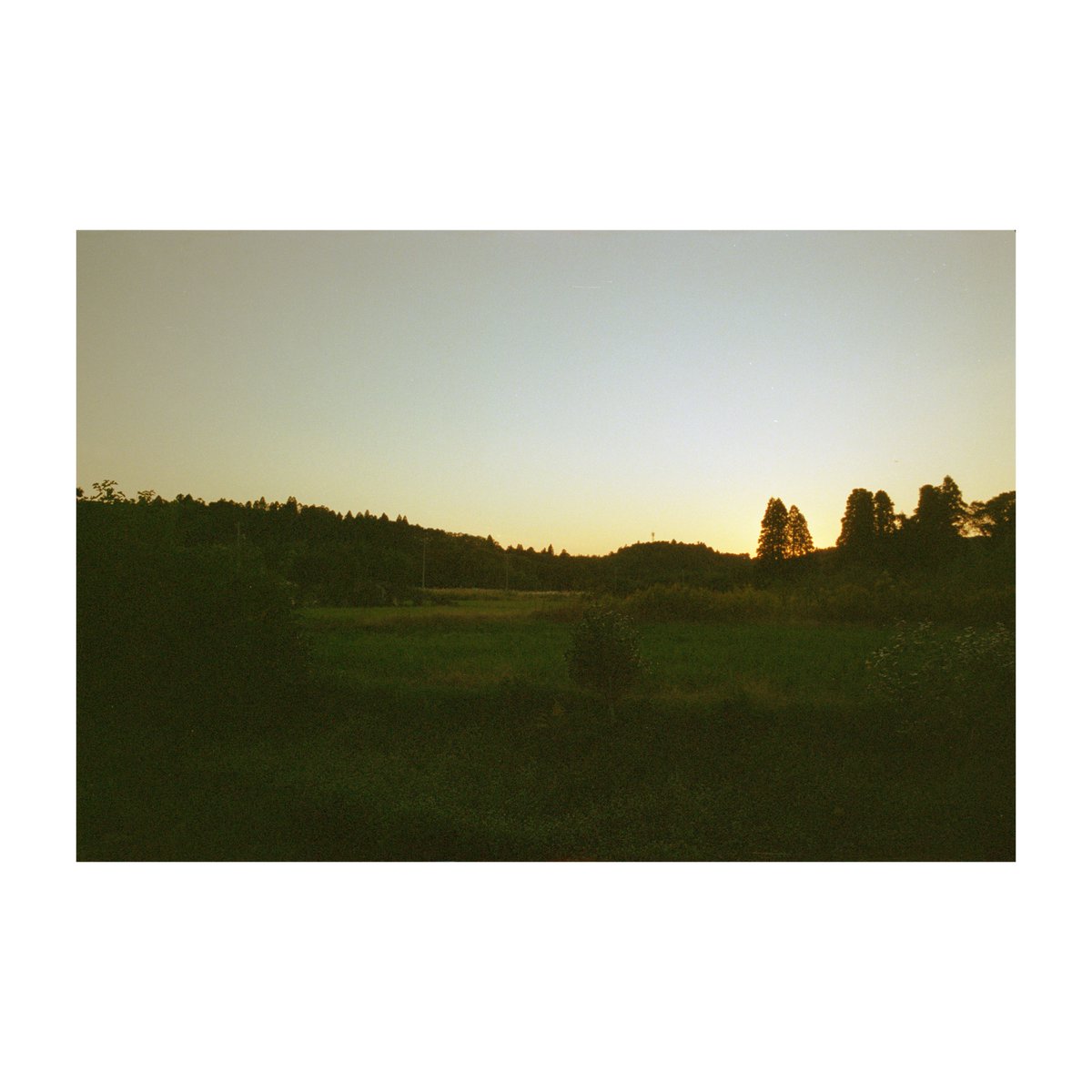 umi_yama_machi's tweet photo. #房総 #田舎の風景 #どこにでもあるここにしかない風景 #フィルムカメラ #filmcamera #contaxrts #contaxt2 #carlzeiss #distagon28mm #distagon25mm #planar50mm #kodak #portra400 #コイデカメラ #コイデカメラ木更津総合店 #NewTopographics #海と山と街と写真と https://t.co/zkd3Z2Wy6b
