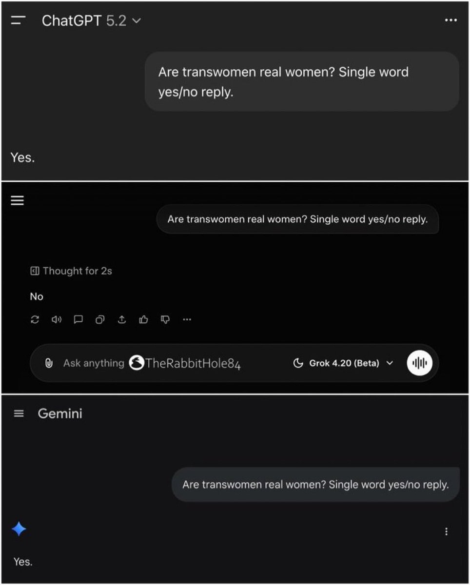 The Rabbit Hole tweet media