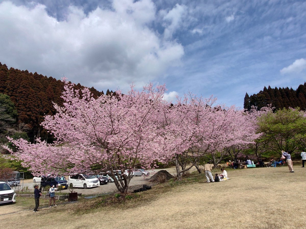 かりん tweet media