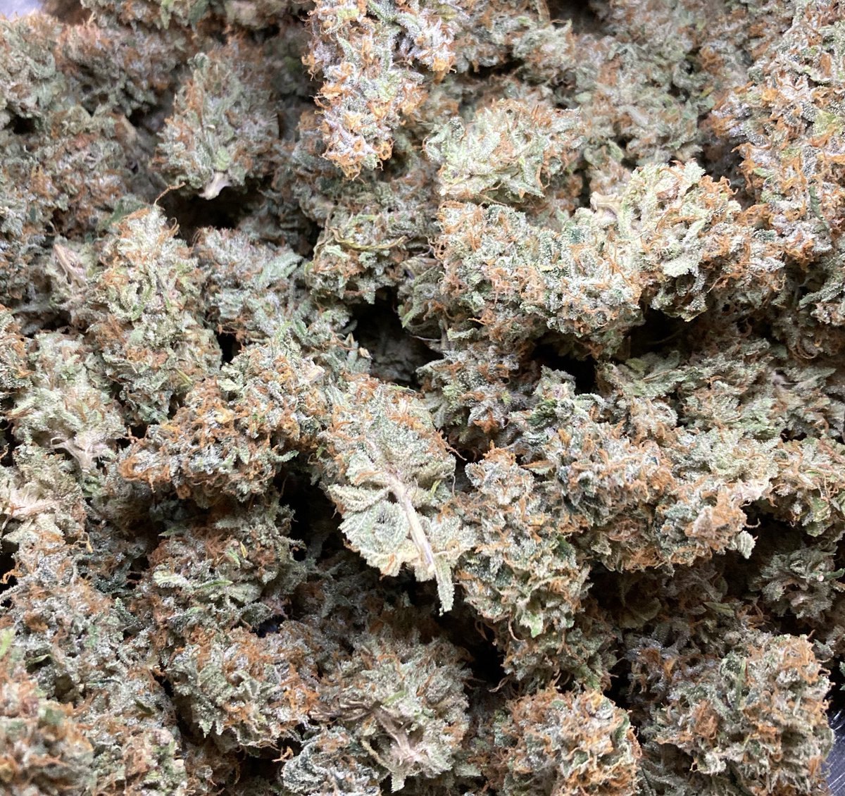 weepicture's tweet photo. Gelato#41    土耕栽培 https://t.co/fFf781Cj4V