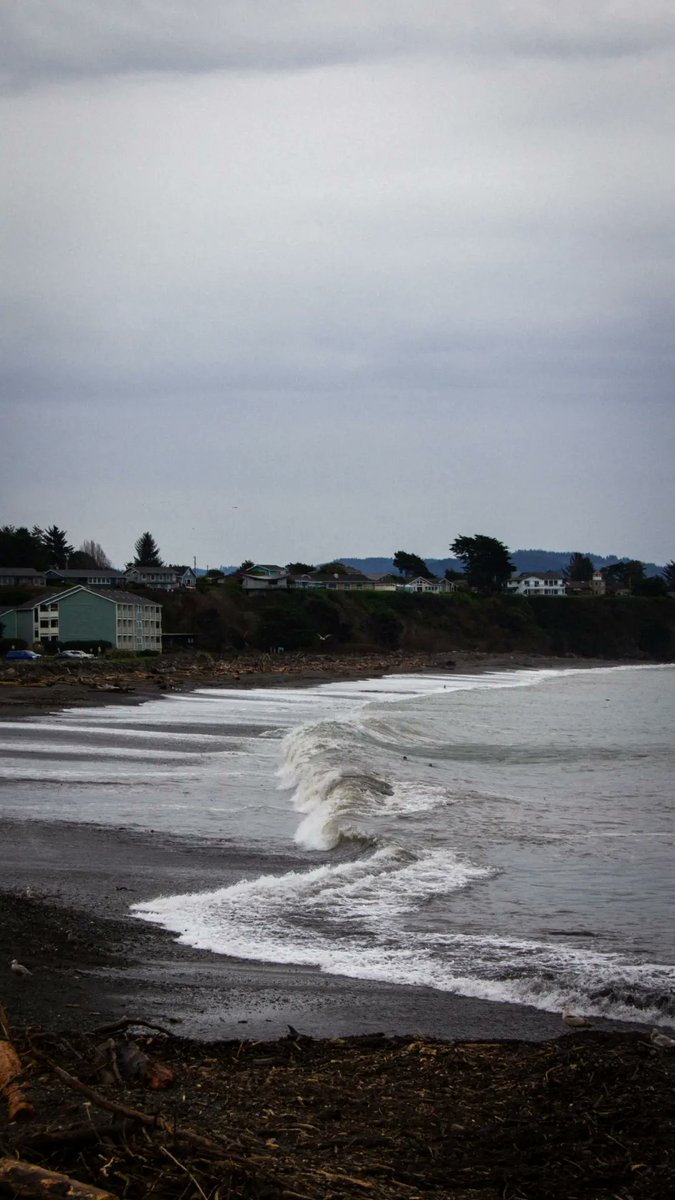 paths_waves's tweet photo. Cloud beach
#Cloud #beach #photography #ocean #waves #beachtown #oregon #pnw #oregoncoast ##beachlife https://t.co/szNh6Qw6CM