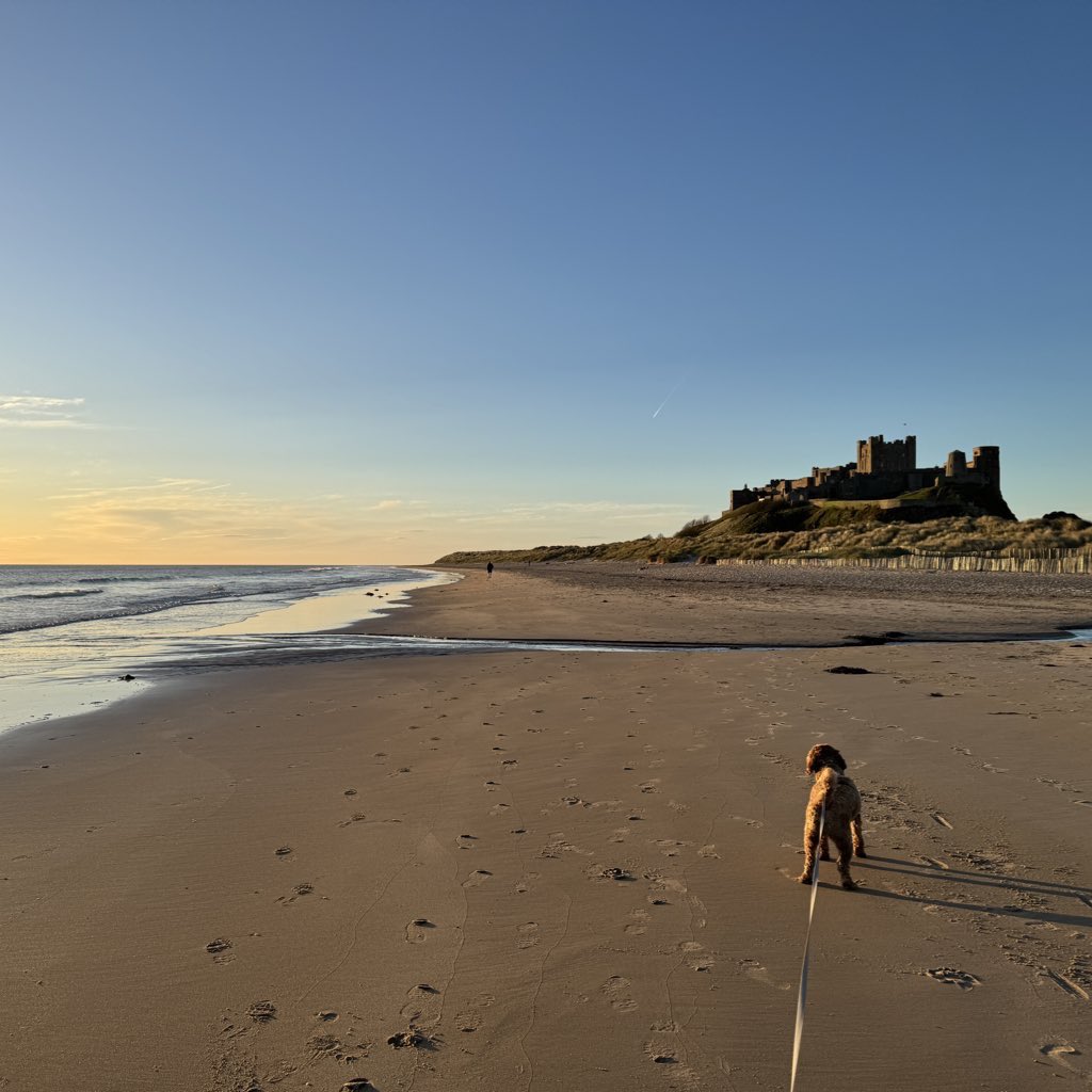 North of the Wall 🏰 tweet media