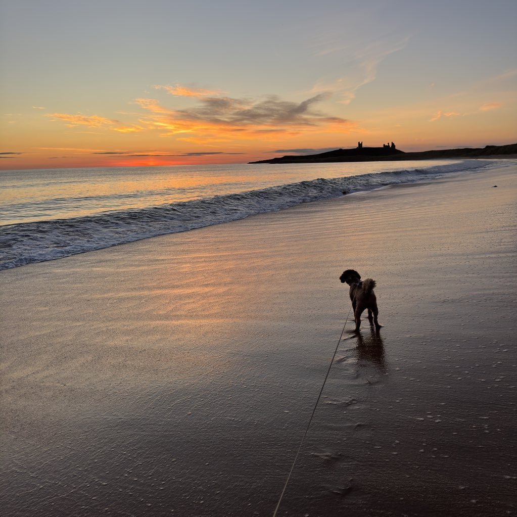 North of the Wall 🏰 tweet media