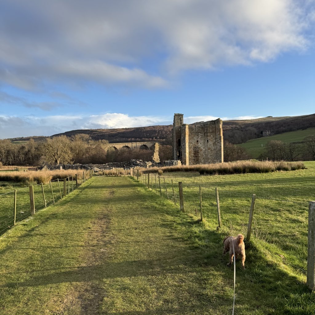 North of the Wall 🏰 tweet media