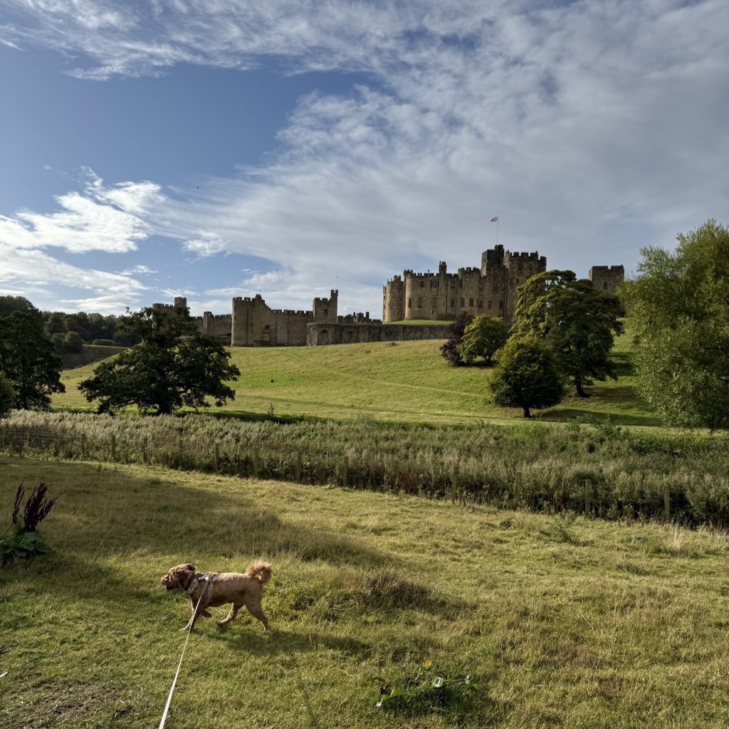 North of the Wall 🏰 tweet media