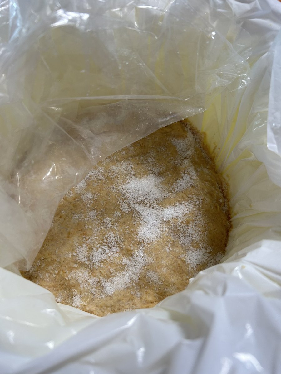 ディスクユニオンの袋が1番味噌仕込みに適してるんだよ、おすすめ！
