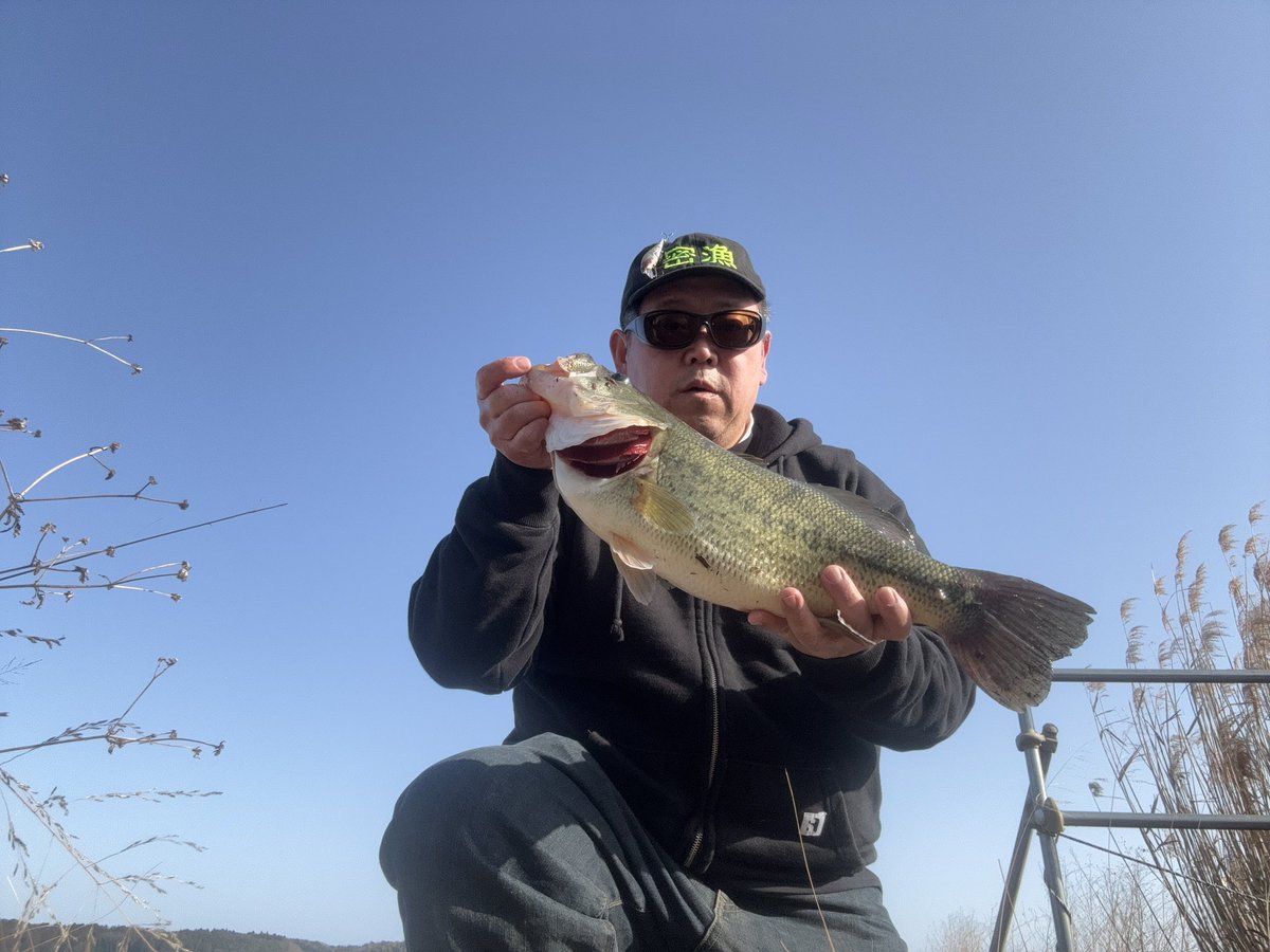 ようすけ@ツリバカ tweet media