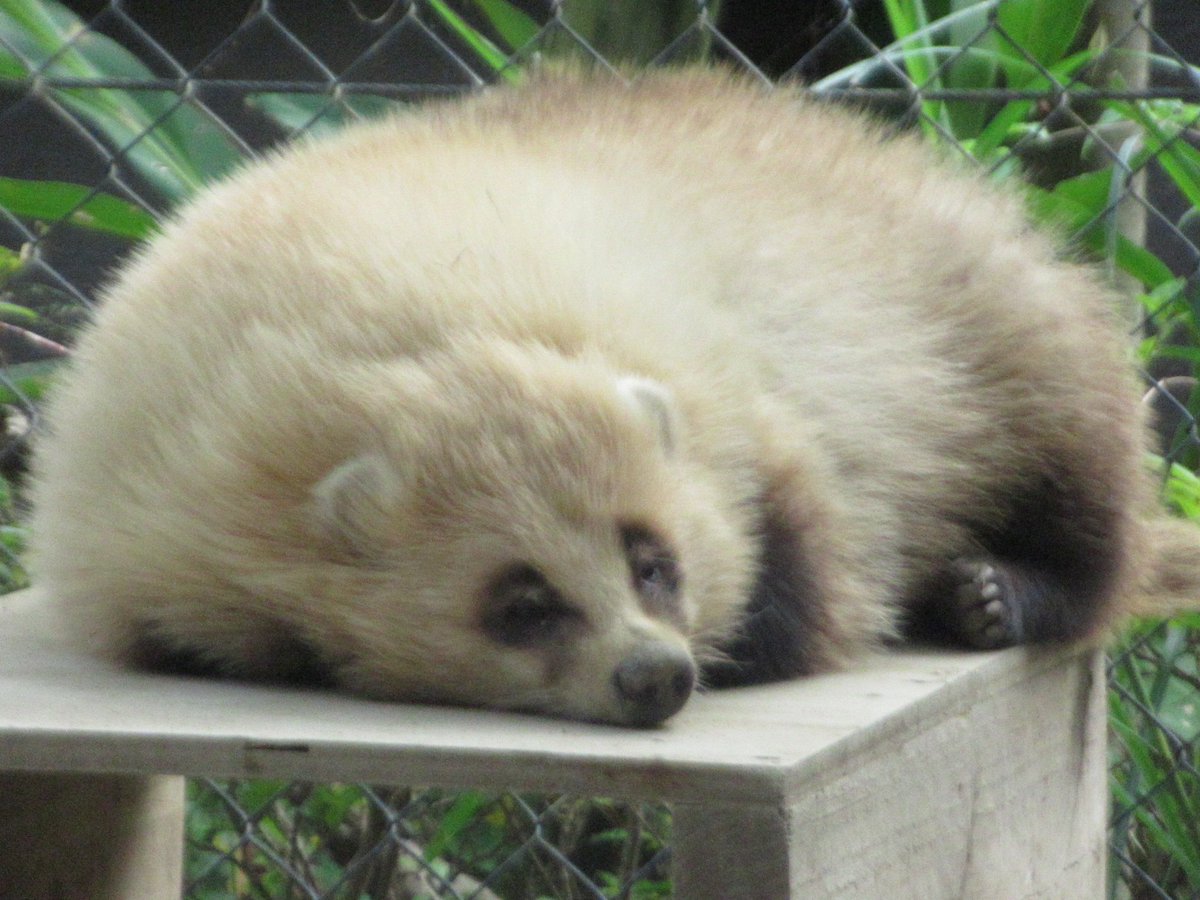 誰かのサブ垢 (@kVWsa4sNlzZr1KK) / Posts / X