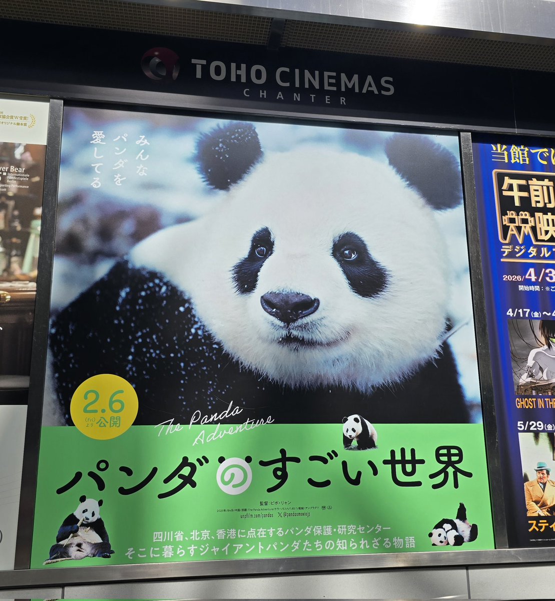 MUHI (@mogumogu4833) / Posts / X