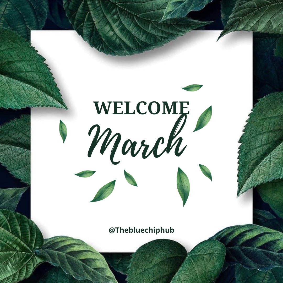 Blue-Chip Hub tweet media