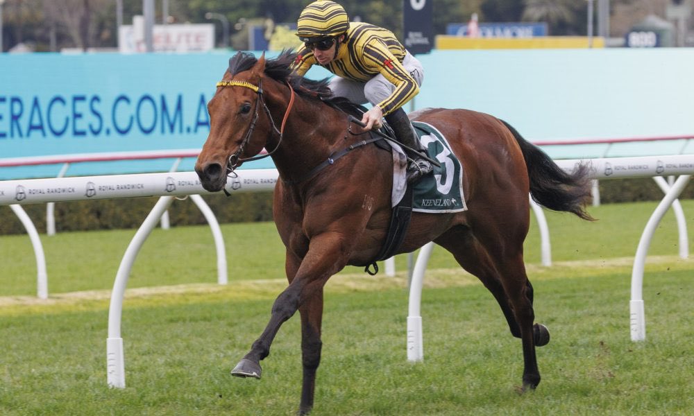 The Form Vault tweet media