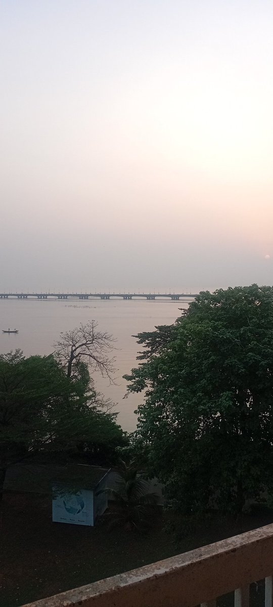 Adedoyin | WID 🔮🩵 tweet media