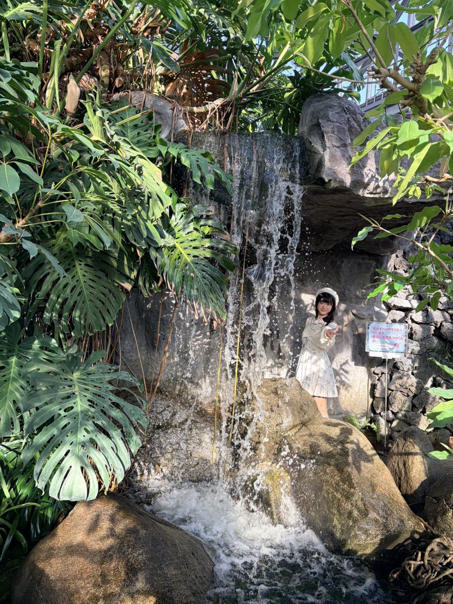 🐾姫柊とあ(ひめらぎとあ)🐾 (@ToAToA_tw) / Posts / X