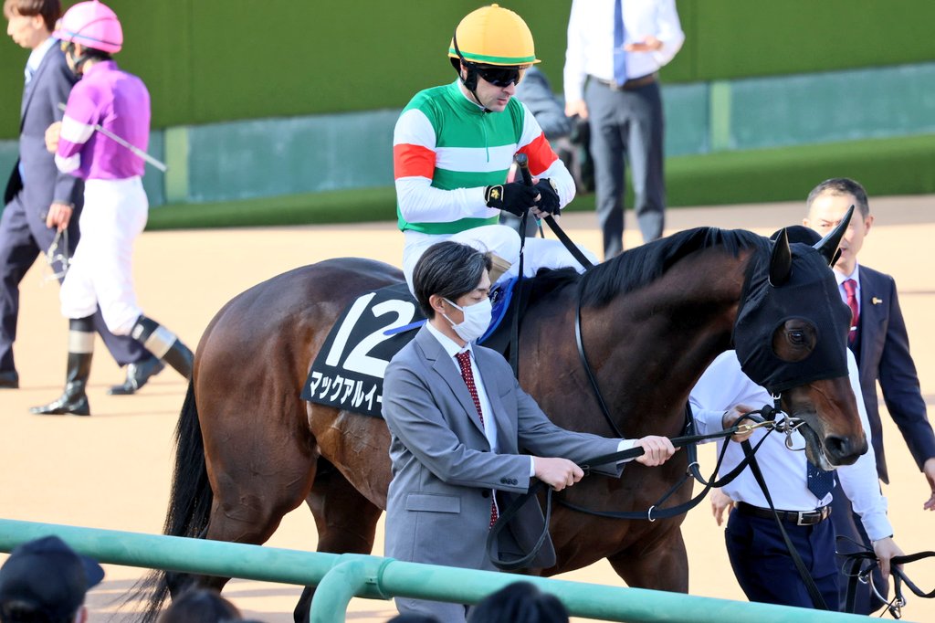 イッシー (@issy3594) / Posts / X