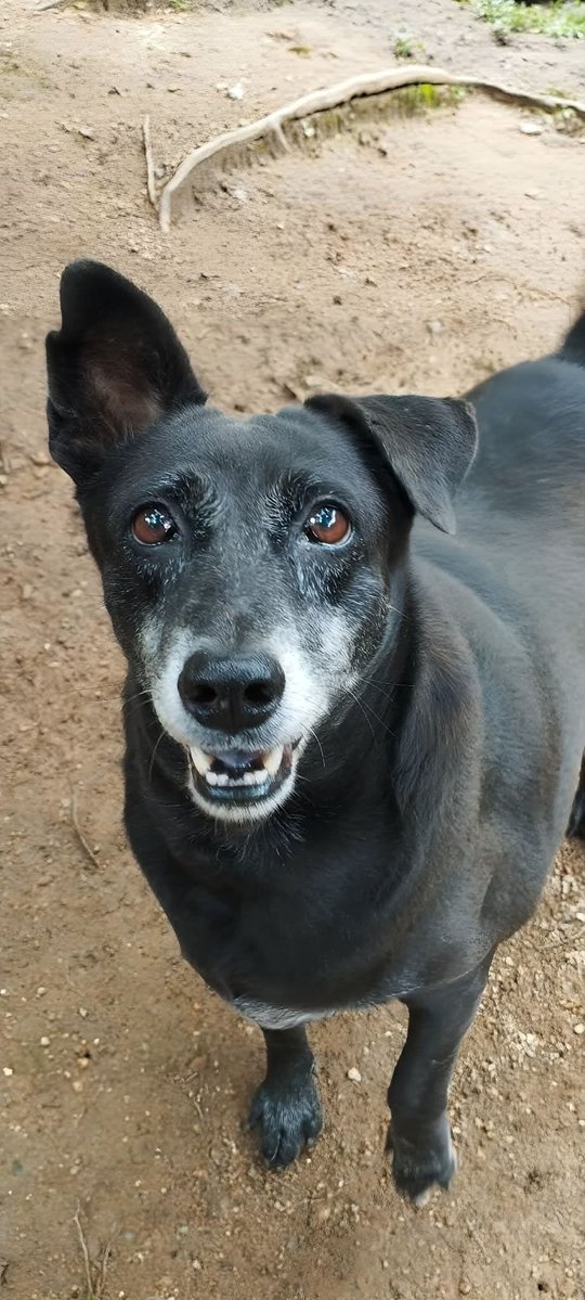 🌟Notre merveilleuse petite mamie ANNIE vous souhaite un merveilleux dimanche 🌟
Comment résister à un tel regard ☺️?