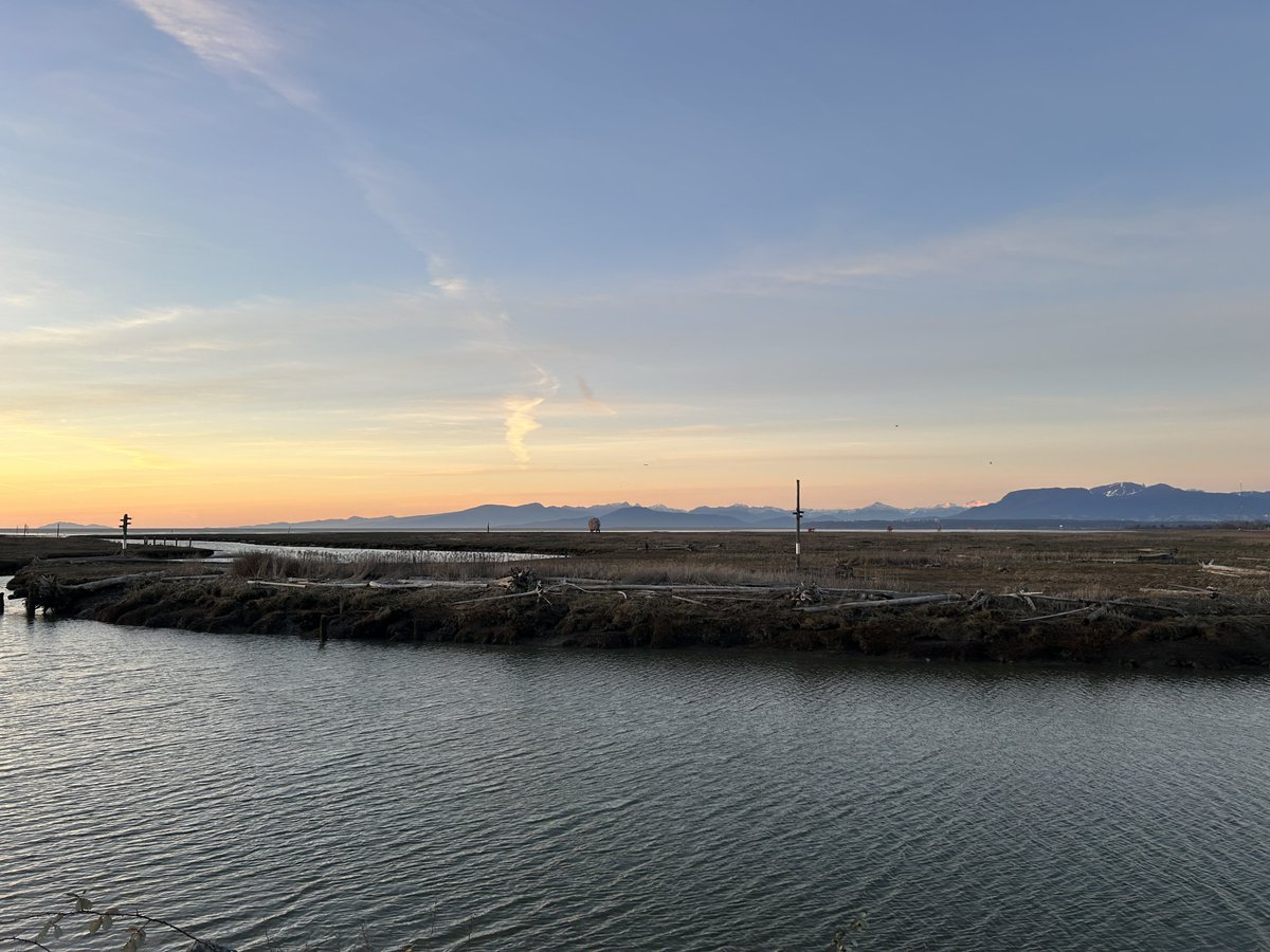 Drawable tweet media