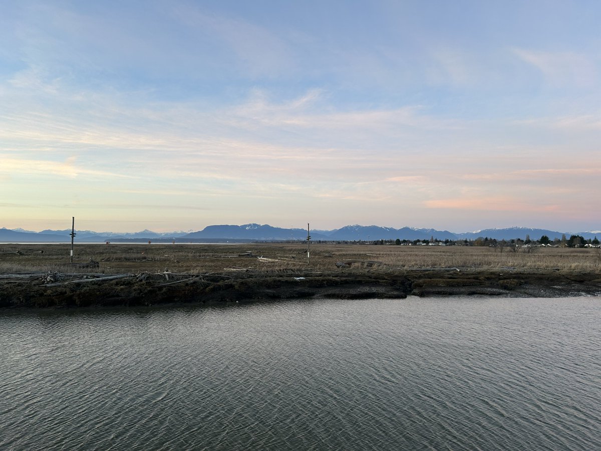 Drawable tweet media