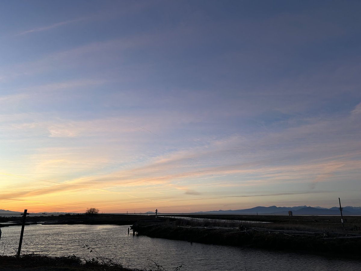 Drawable tweet media