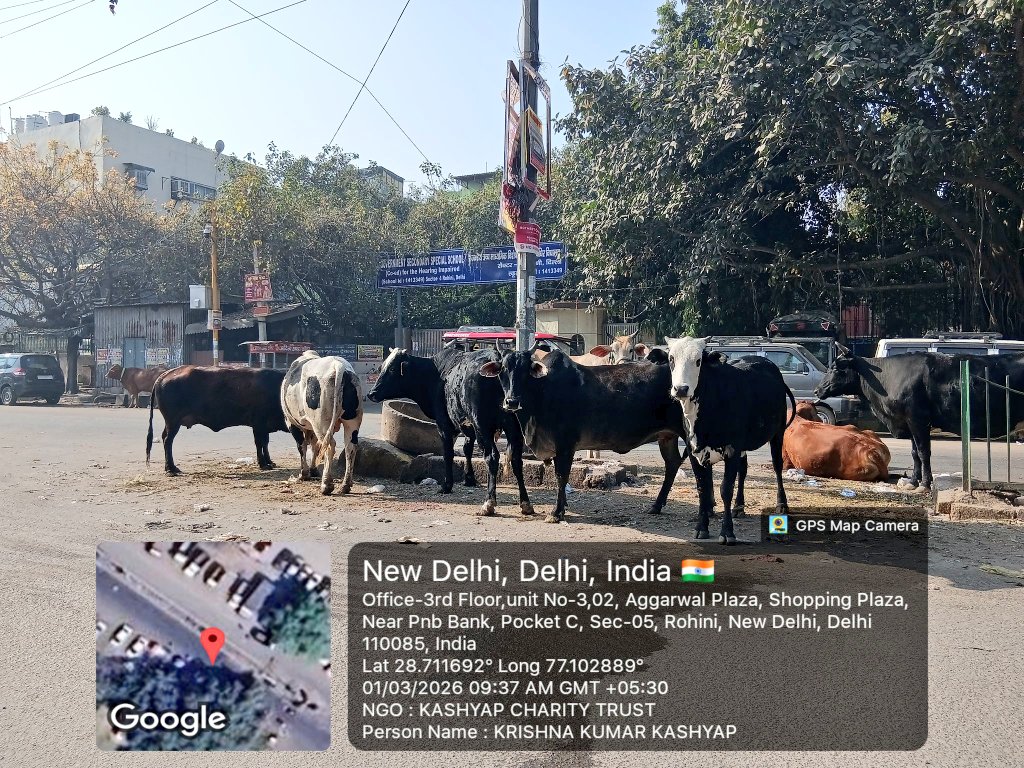 Delhi Complaint tweet media