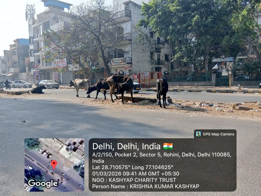 Delhi Complaint tweet media