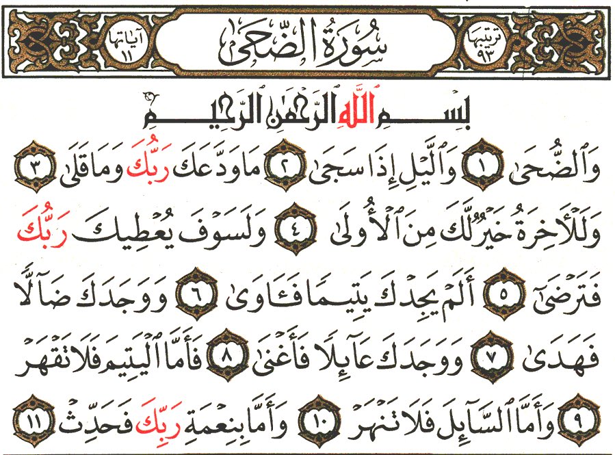 أبو حاء tweet media