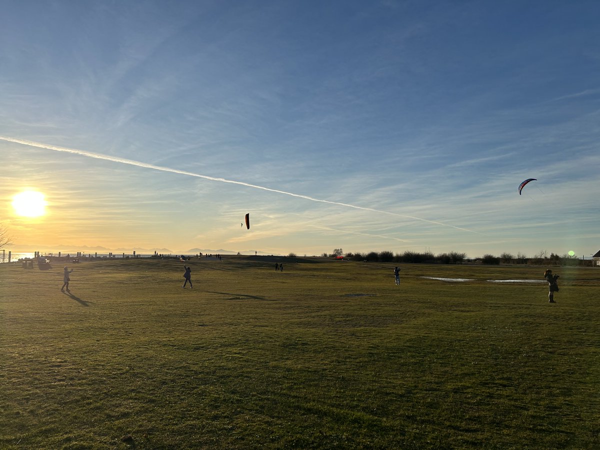 Drawable tweet media