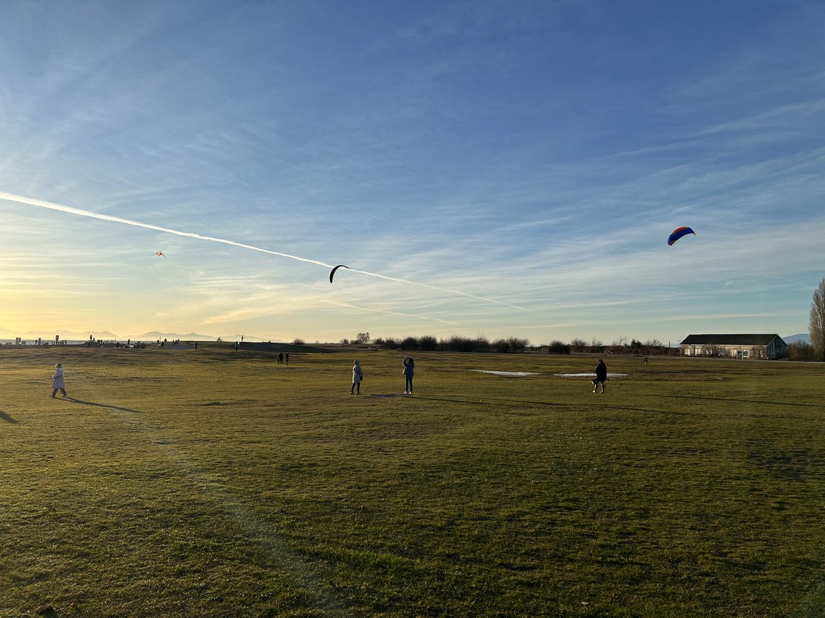 Drawable tweet media